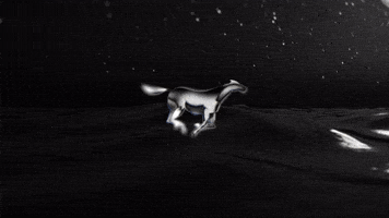 Water Horse Blueprint GIF by Ardas Archive