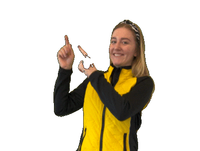 jobangebote kärnten