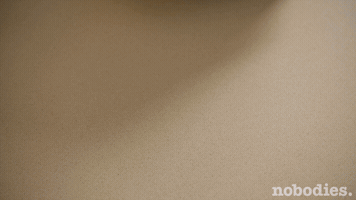 tv land script GIF by nobodies.