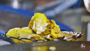 chinese food pancake GIF