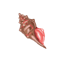 Pink Sea Sticker