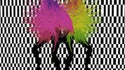 Party Design GIF by GoStijn