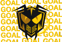 soccer win Sticker by Ari Football