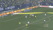bundesliga kuba GIF by Borussia Dortmund