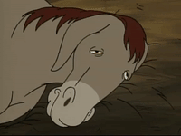 hey arnold nicksplat GIF