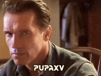 Suspicious Arnold Schwarzenegger GIF