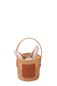 Surprise Hello Sticker by robotyreczne