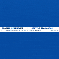 Football Nfl GIF by Seattle Seahawks