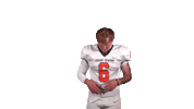 Cnfb Sticker by Carson-Newman Athletics