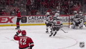 Happy National Hockey League GIF by NHL