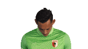 Happy Fc Augsburg Sticker by Bundesliga