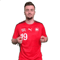 Switzerland Swipe Up Sticker by Swiss Football Association
