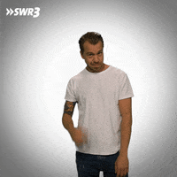 Sexy Hair GIF by SWR3