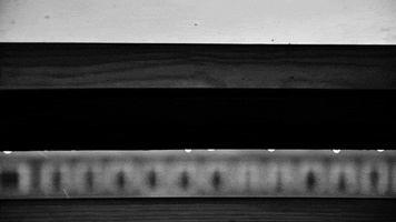 black and white loop GIF by A. L. Crego
