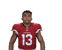Arizona Cardinals Stickers Sticker by NFL