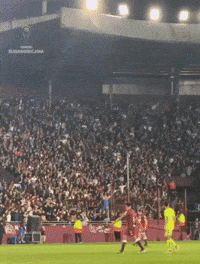 U De Chile Granate GIF