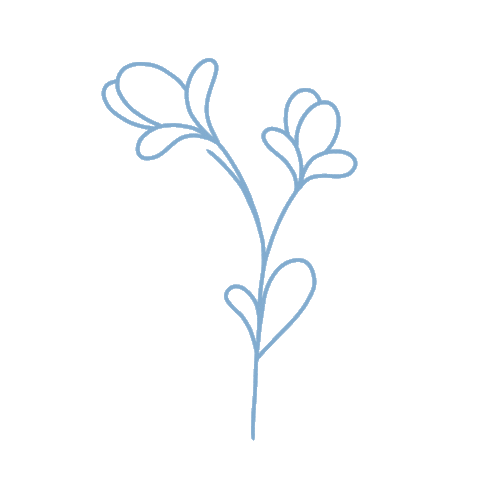 AtelierA giphyupload flower flowers weddings Sticker