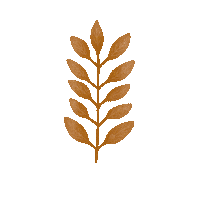 Pumpkin Spice Coffee Sticker