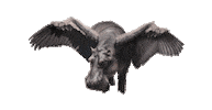 the atlas underground Sticker by Tom Morello