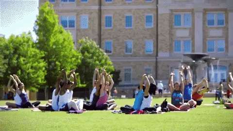 bullaye2 giphygifmaker tcu texas christian university GIF