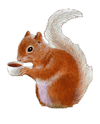 Coffee Squirrel Sticker by Foodmaker