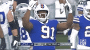 Regular Season Football GIF by NFL