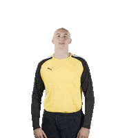 mhbofficiel sport workout handball vamos Sticker