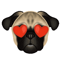 In Love Sticker by zoopeez