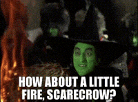 Wizard Of Oz Fire GIF by Chris Cimino