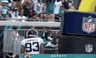 2018 Nfl Football GIF by NFL