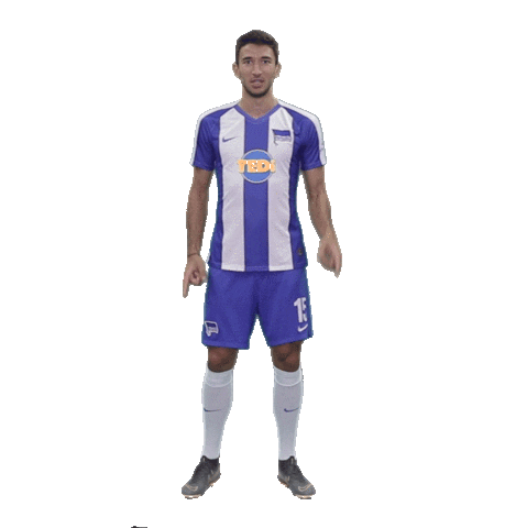 Celebration Goal Sticker by Hertha BSC