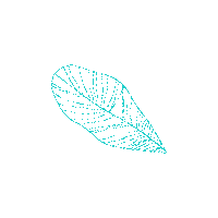 Tseewhy leaf leaves lines colours Sticker