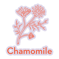 Herbs Stay Calm Sticker by Mab & Stoke