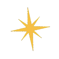 Star Camp Sticker by Mograph