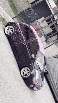 Pink Baby GIF