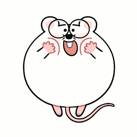 DoctorCorio giphyupload cute mouse rat GIF