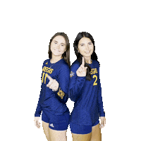 RegisVolleyball volleyball bella hannah smith Sticker