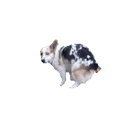 lbrozovich dog rainbow poop poo Sticker