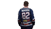 Ice Hockey Sticker by Fehervar AV19