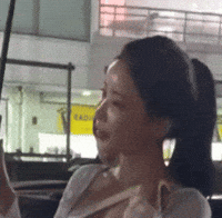 Model GIF