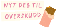 Chocolate Sjokolade Sticker by Welyo