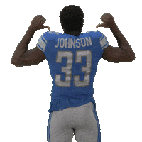 National Football League Sticker by Detroit Lions