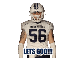 BlueWingsWolfsburg blue wings wolfsburg americanfootball Sticker