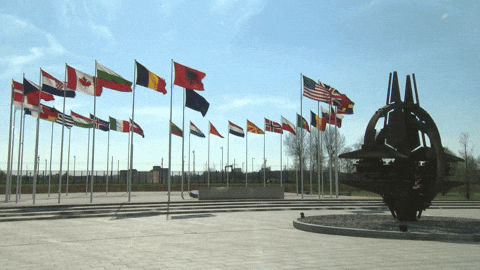 Strongertogether Otan GIF by NATO