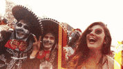 F1 Racing GIF by Formula 1 Gran Premio de la Ciudad de México Presentado por Heineken