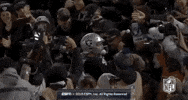 2018 Nfl Football GIF by NFL