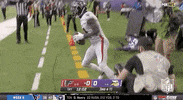 Regular Season Football GIF by NFL