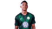 Felix Uduokhai Football Sticker by VfL Wolfsburg