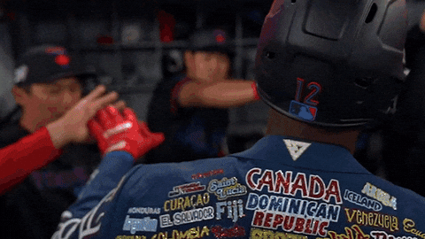 Blue Jays Baseball GIF by Toronto Blue Jays
