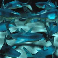 somenerv funny 3d weird spin GIF